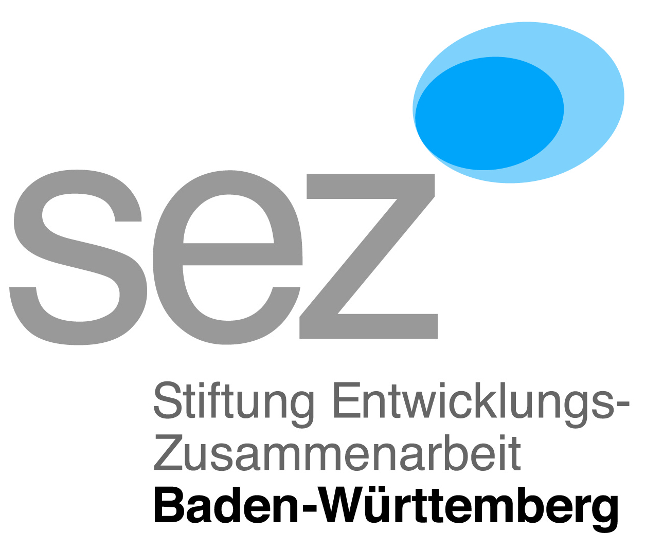 SEZ Logo